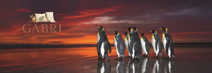 HEYE Panoramatické puzzle Tučňáci královští 1000 dílků