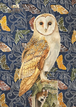 PIATNIK Puzzle Sova 1000 dílků