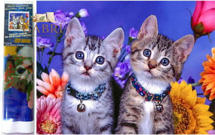 Norimpex Diamantové malování Dvě koťata 30x40cm