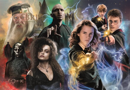 CLEMENTONI Puzzle Harry Potter 104 dílků