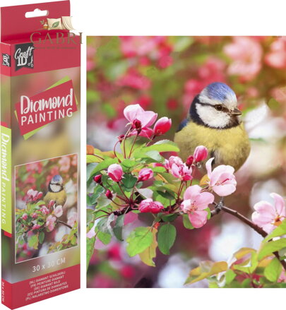GRAFIX Diamantové malování Sýkorka na větvi 30x30cm