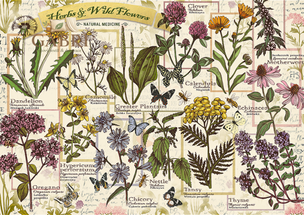 TREFL Puzzle Herbarium: Léčivé byliny 500 dílků