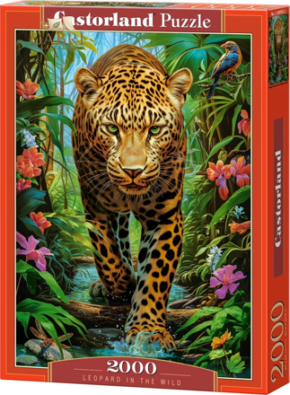 CASTORLAND Puzzle Leopard v divočině 2000 dílků