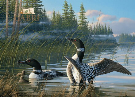 COBBLE HILL Puzzle Potáplice 1000 dílků