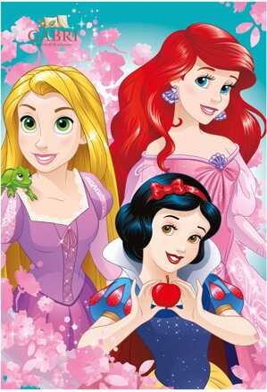 DINO Puzzle Krásné princezny 24 dílků