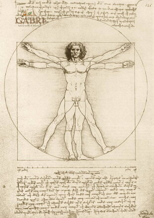 BLUEBIRD Puzzle Vitruviánský muž 1000 dílků Leonardo Da Vinci