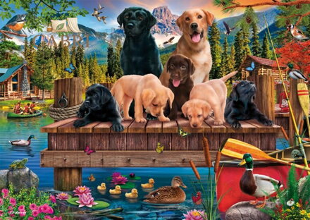SCHMIDT Puzzle Psí rodinka u jezera 1000 dílků