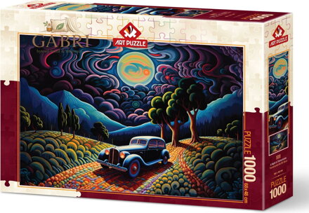 ART PUZZLE Puzzle Noc v Transylvanii 1000 dílků