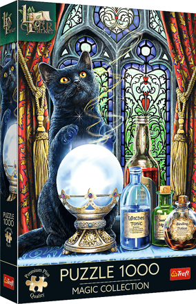 TREFL Puzzle Premium Plus Magic Collection: Čarodějný učeň 1000 dílků