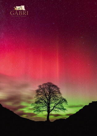 HEYE Puzzle Power of Nature: Sycamore Gap 1000 dílků