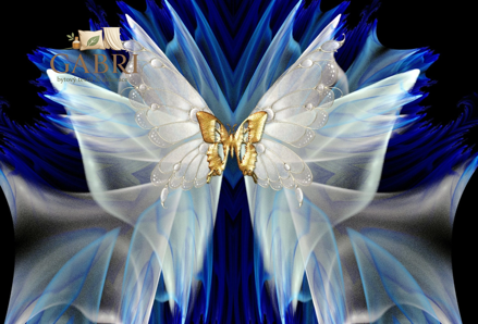 NORIMPEX Diamantové malování Zlatý motýlek 30x40cm