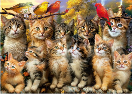 EDUCA Puzzle Kočky a ptáci 500 dílků