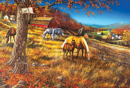 COBBLE HILL Puzzle Setkání na svahu 2000 dílků