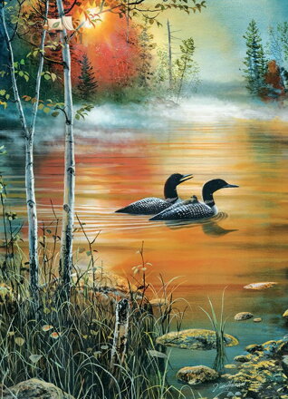 COBBLE HILL Puzzle Ranní mlha 1000 dílků