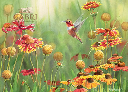 COBBLE HILL Puzzle Kolibříci 500 dílků