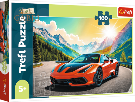 TREFL Puzzle Závod s časem 100 dílků