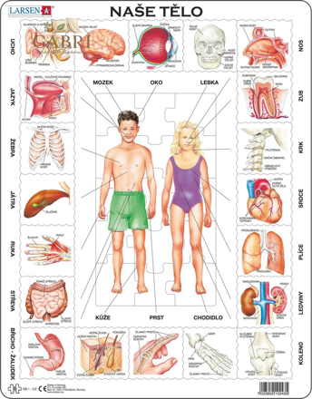 LARSEN Puzzle Naše tělo 35 dílků