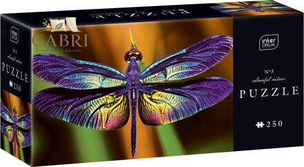 INTERDRUK Puzzle Colorful Nature: Vážka 250 dílků