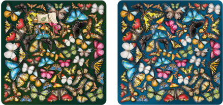 CURIOSI Oboustranné dřevěné puzzle Double: Motýli 165 dílků