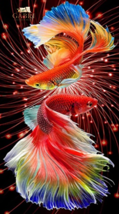 NORIMPEX Diamantové malování Červené rybky 30x40cm