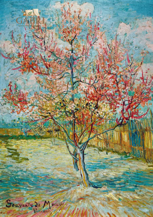 BLUEBIRD Puzzle Růžové broskve 1000 dílků