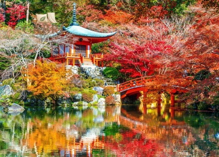 BLUEBIRD Puzzle Chrám Daigodži na podzim, Kjótó 500 dílků