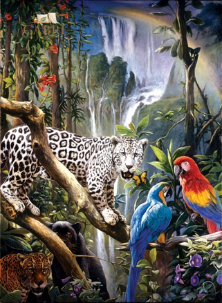 NORIMPEX Diamantové malování Papoušci a panter 30x40cm