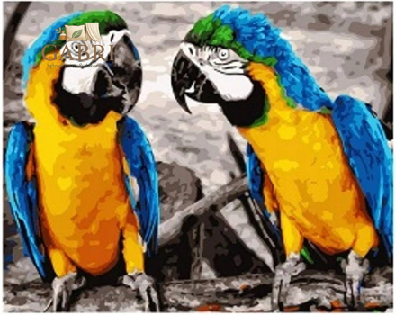 NORIMPEX Diamantové malování Papoušci 30x40cm