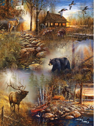 NORIMPEX Diamantové malování Lesní zvířena 30x40cm