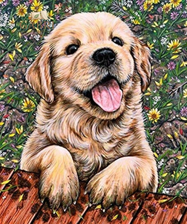 NORIMPEX Diamantové malování Štěně labradora 30x40cm