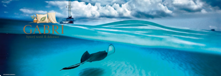 HEYE Panoramatické puzzle Rejnok (Kajmanské ostrovy) 1000 dílků