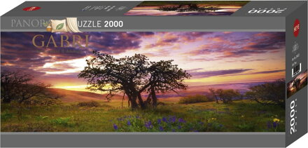 HEYE Panoramatické puzzle Dub, Columbia Hills State Park 2000 dílků