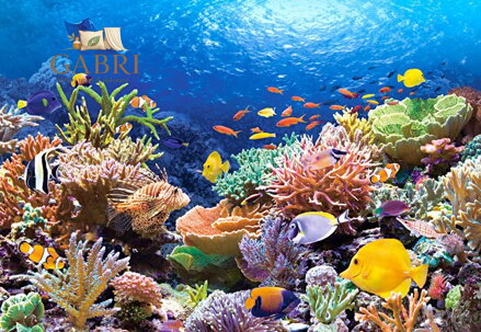 CASTORLAND Puzzle Korálový útes 1000 dílků