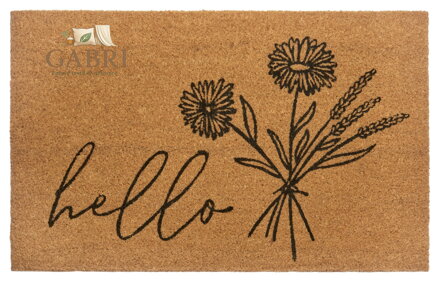 Rohožka Hello 105569 - na ven i na doma