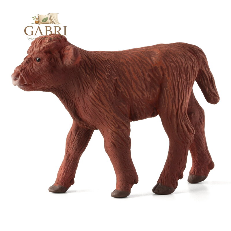 Mojo Skotské náhorní tele