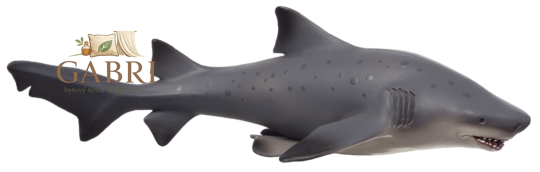 Mojo Žralok bělavý velký