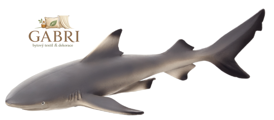 Mojo Žralok černoploutvý