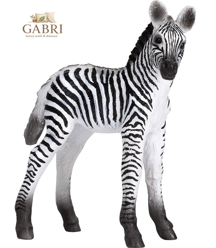 Mojo Zebra mládě