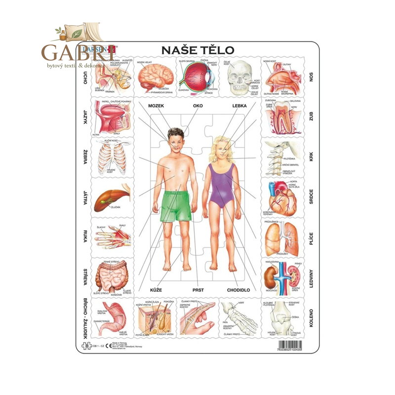 Larsen Vzdělávací puzzle Naše tělo 35 dílků
