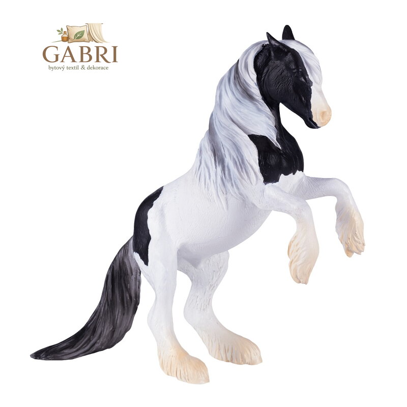 Mojo Irský tinker hřebec