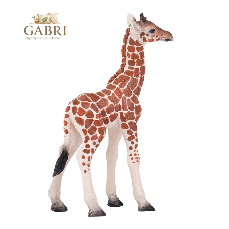 Mojo Žirafa mládě