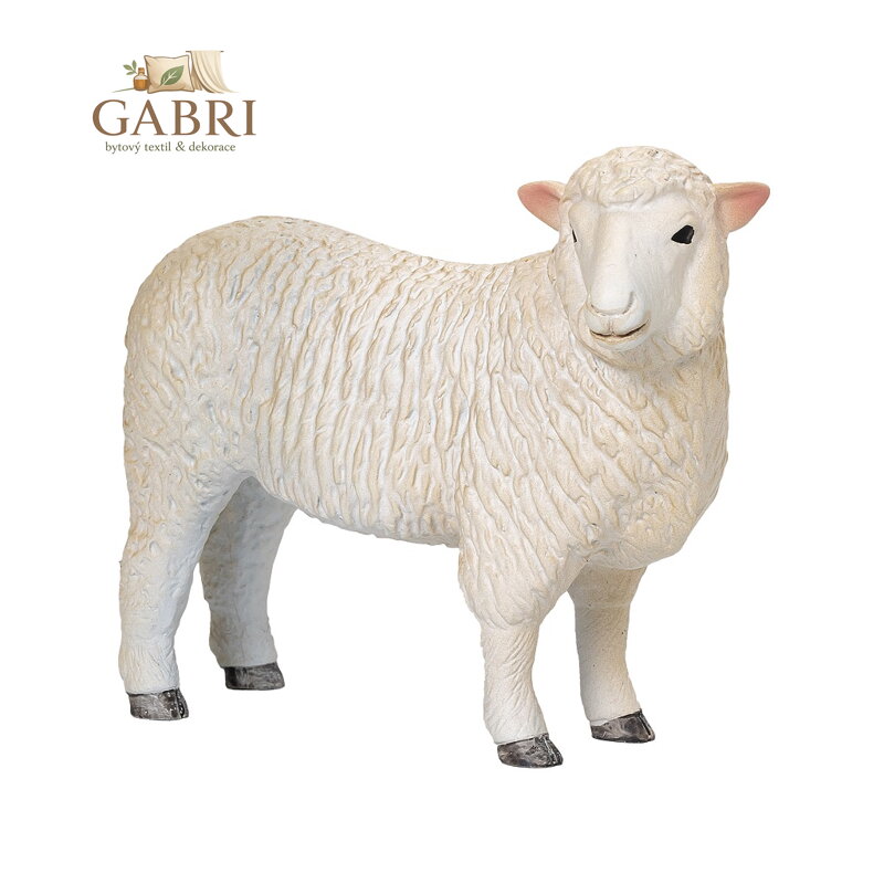 Mojo Ovce romney marsh