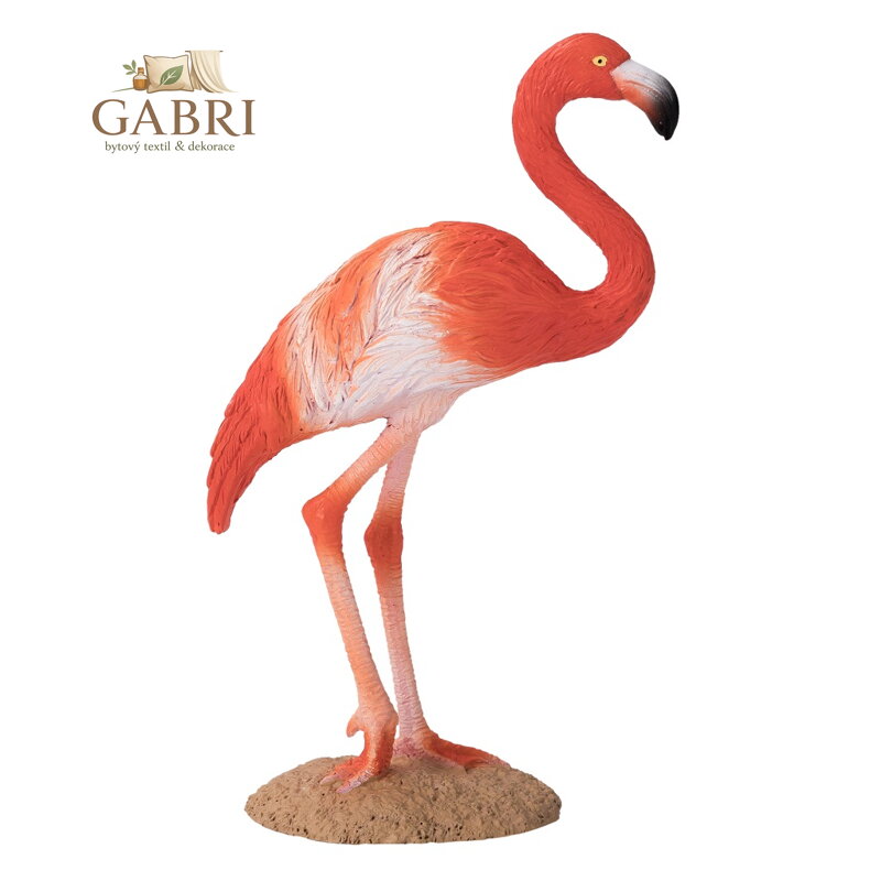 Mojo Plameňák karibský