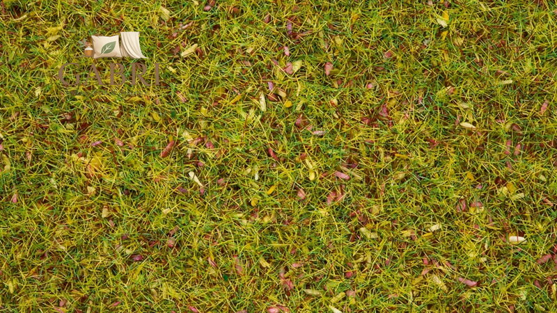 Noch Statická tráva Kvetoucí louka 2,5 mm