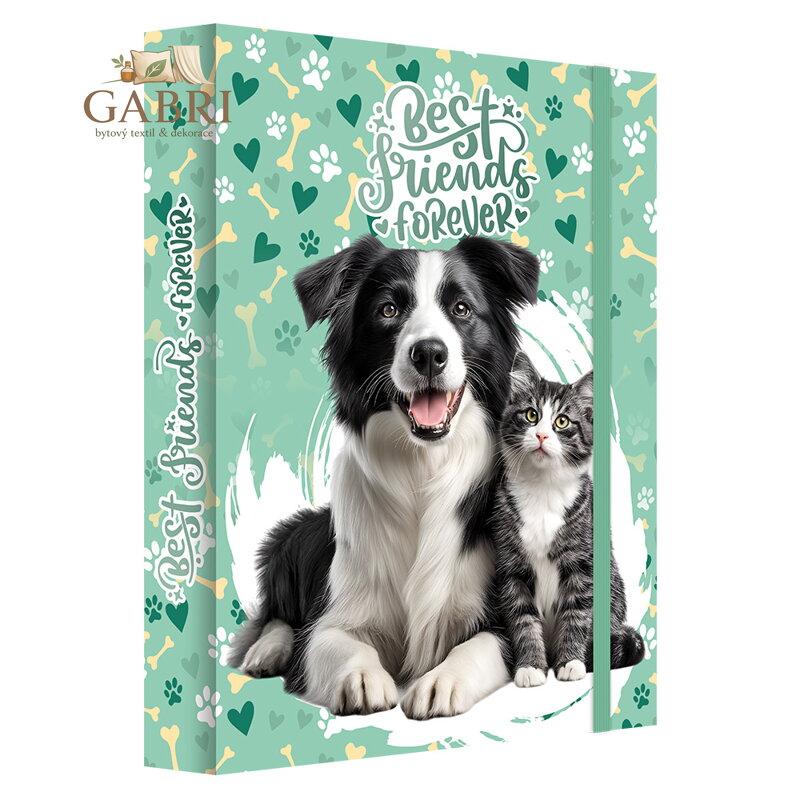 Box na sešity A4 Jumbo MAX S9 Best Friends Forever