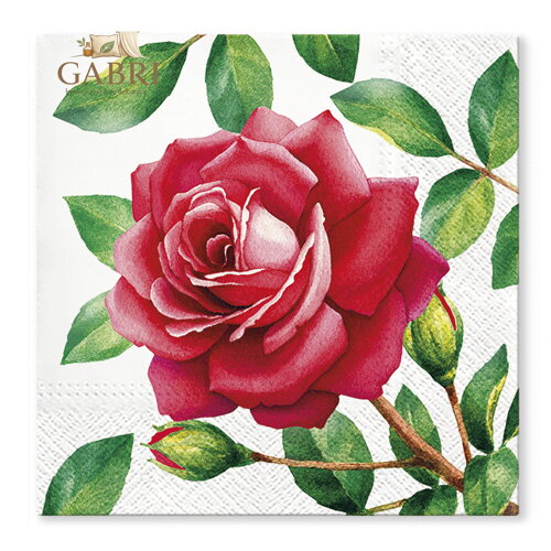 Obrousky TaT 33x33cm Special Rose
