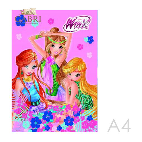 Omalovánka A4 Akim - Winx Club Fashion
