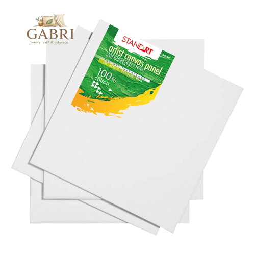 Malířské plátno JUNIOR Standart 30x40 cm