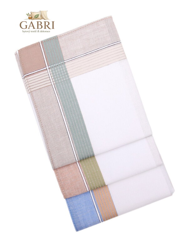 ETEX s.r.o. Pánský kapesník M11 světlý (6 ks)