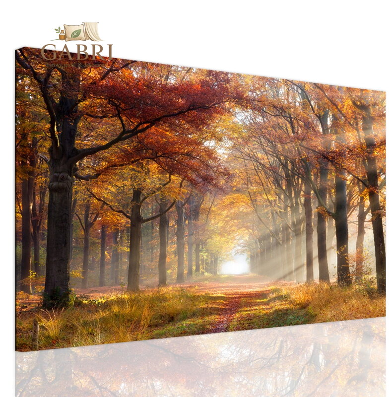 Obraz přírodní kompozice